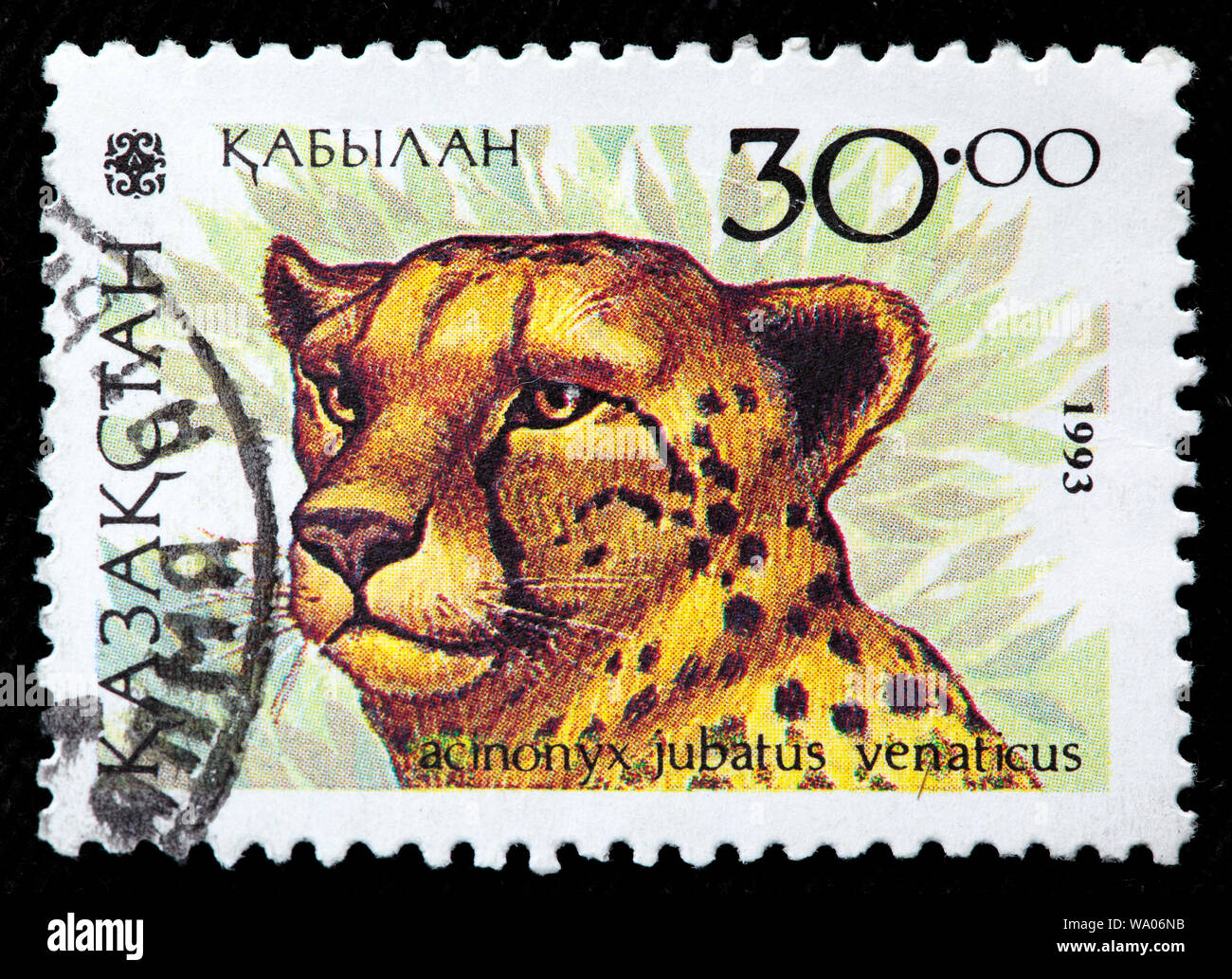 Asiatischer Gepard, Acinonyx jubatus venaticus, Briefmarke, Kasachstan, 1993 Stockfoto