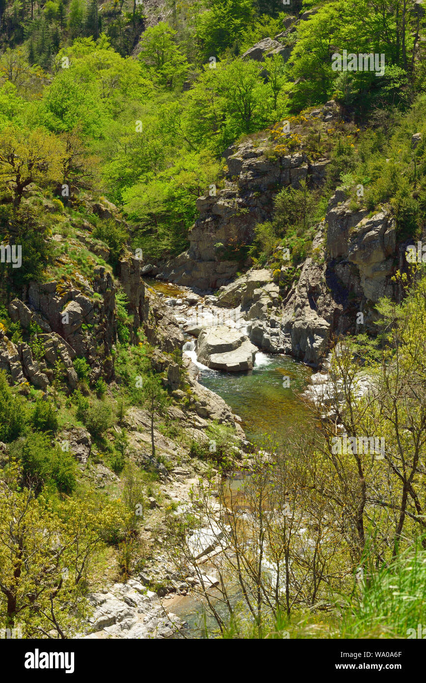 Schlucht Gorges du Tapoul, Fluss, le Taron, Rousses, Cevennen, Lozère, Frankreich, 30074799 Stockfoto