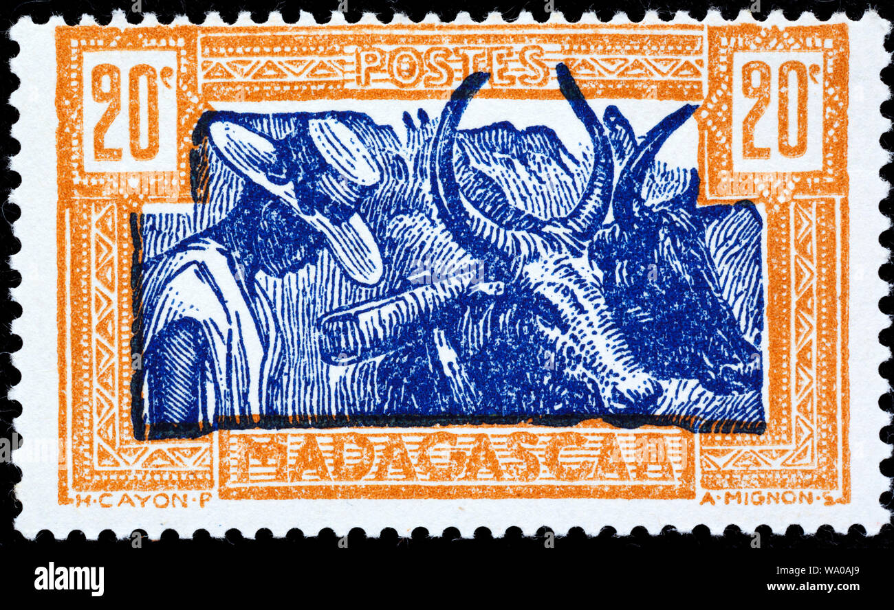 Zebu, Bos primigenius indicus, Briefmarke, Madagaskar, Madagaskar, 1930 Stockfoto