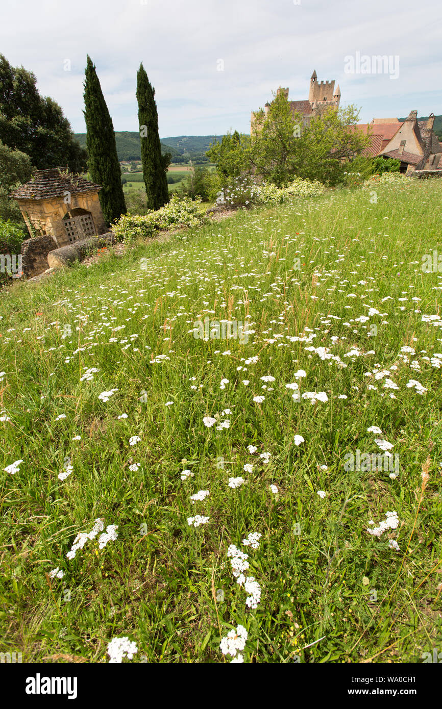 Dorf Beynac-et-Cazenac, Frankreich. Eine kleine wilde Blume Weide an der Spitze von Beynac, mit dem Chateau de Beynac im Hintergrund. Stockfoto