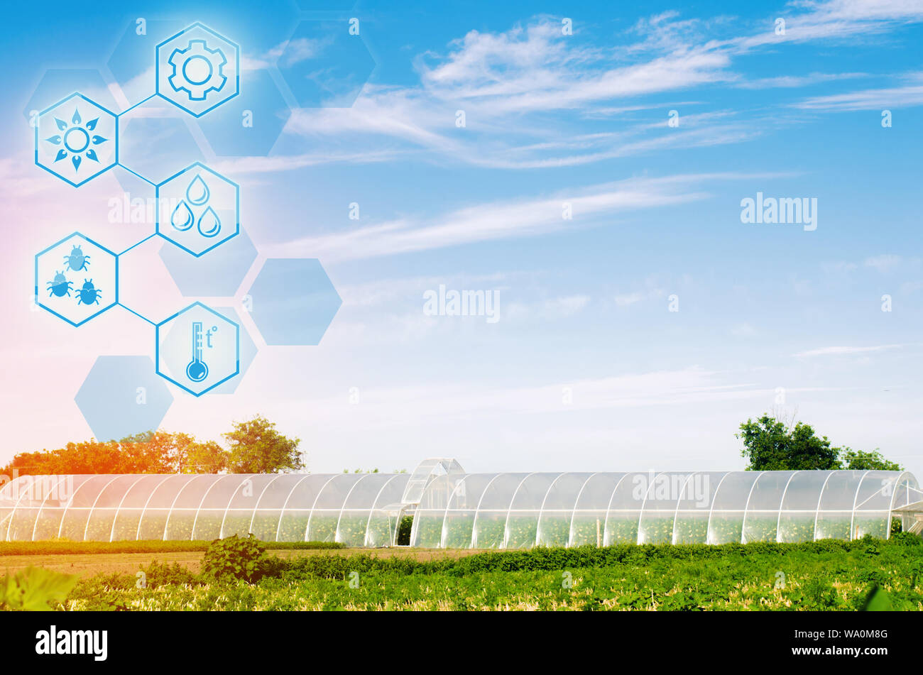 Gewächshäuser im Feld für Sämlinge von Pflanzen, Obst, Gemüse, Kreditvergabe an Landwirte, Ackerland, Landwirtschaft, ländliche Gebiete, agro-industriellen Komplexes. Stockfoto