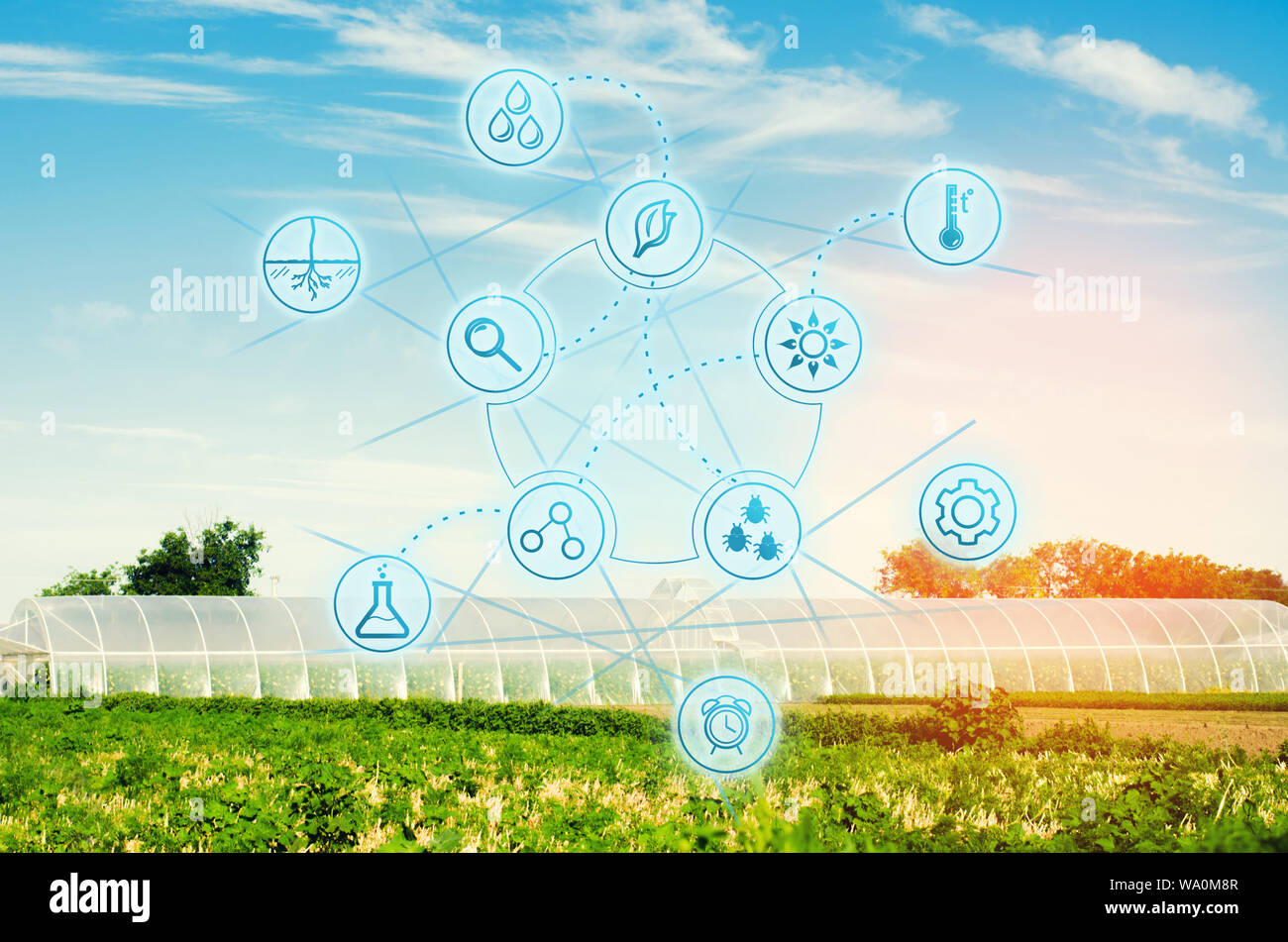Gewächshäuser im Feld für Sämlinge von Pflanzen, Obst, Gemüse, Kreditvergabe an Landwirte, Ackerland, Landwirtschaft, ländliche Gebiete, agro-industriellen Komplexes. Stockfoto