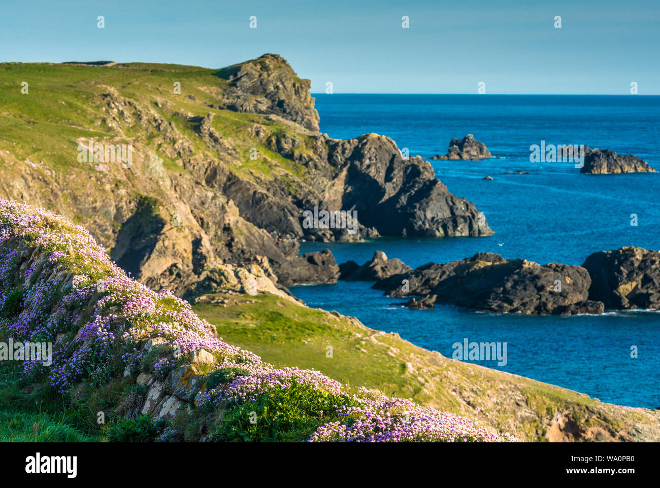 Dramatische Küstenlandschaften an Kynance Cove auf der Lizard Halbinsel im Süden von Cornwall, England, Vereinigtes Königreich. Stockfoto