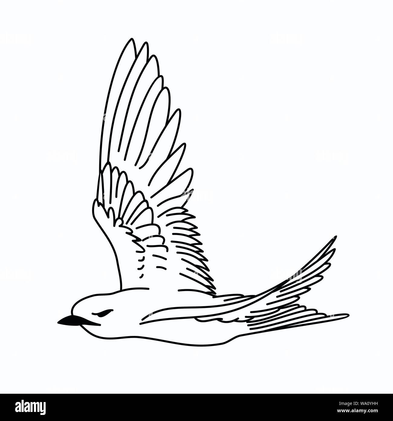 Vector Illustration eines Vogels Stock Vektor