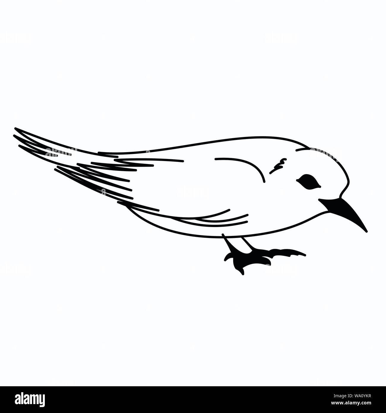Vector Illustration eines Vogels Stock Vektor