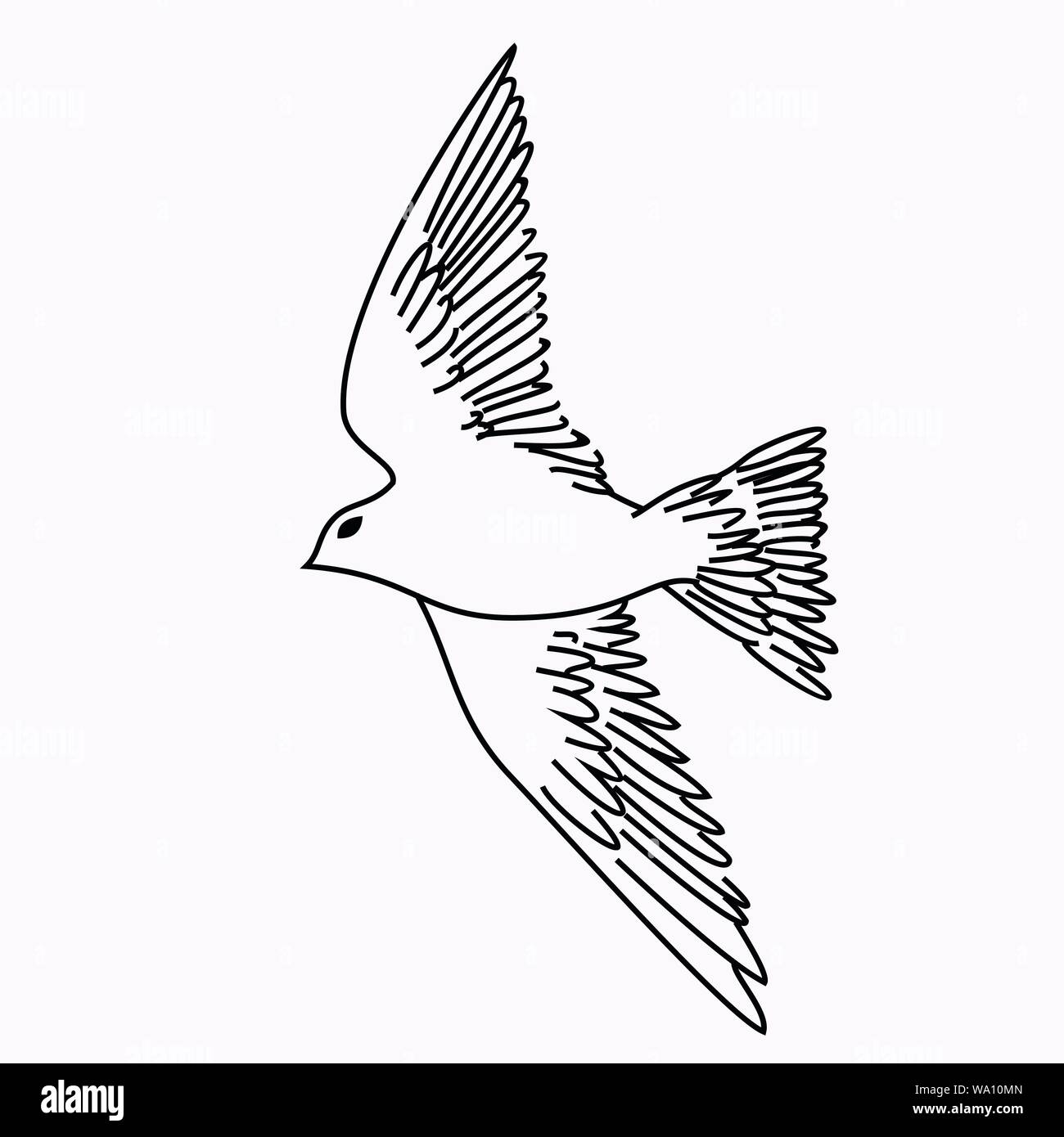 Vector Illustration eines Vogels Stock Vektor