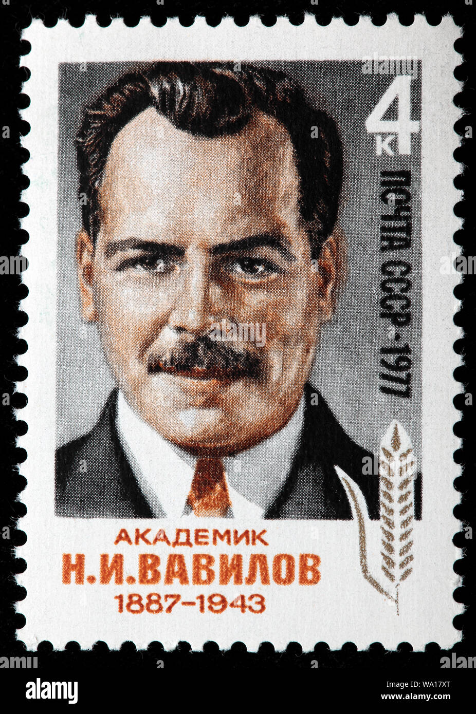 Nikolaj Vavilov (1887-1943), Russische und Sowjetische Agronom, Botaniker, Genetiker, Briefmarke, Russland, UDSSR, 1977 Stockfoto