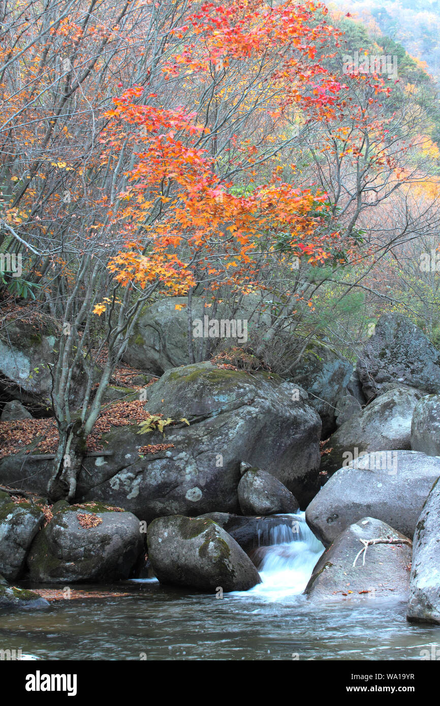 Shaanxi hanzhong Mian county Die yunwu Berge Stockfoto