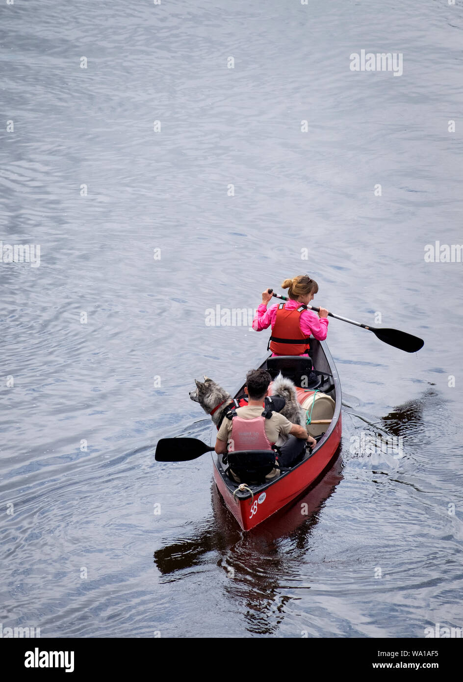 Personen Kanu mit ihrem Hund auf dem Fluss Wye in Hay-on-Wye in Wales Stockfoto