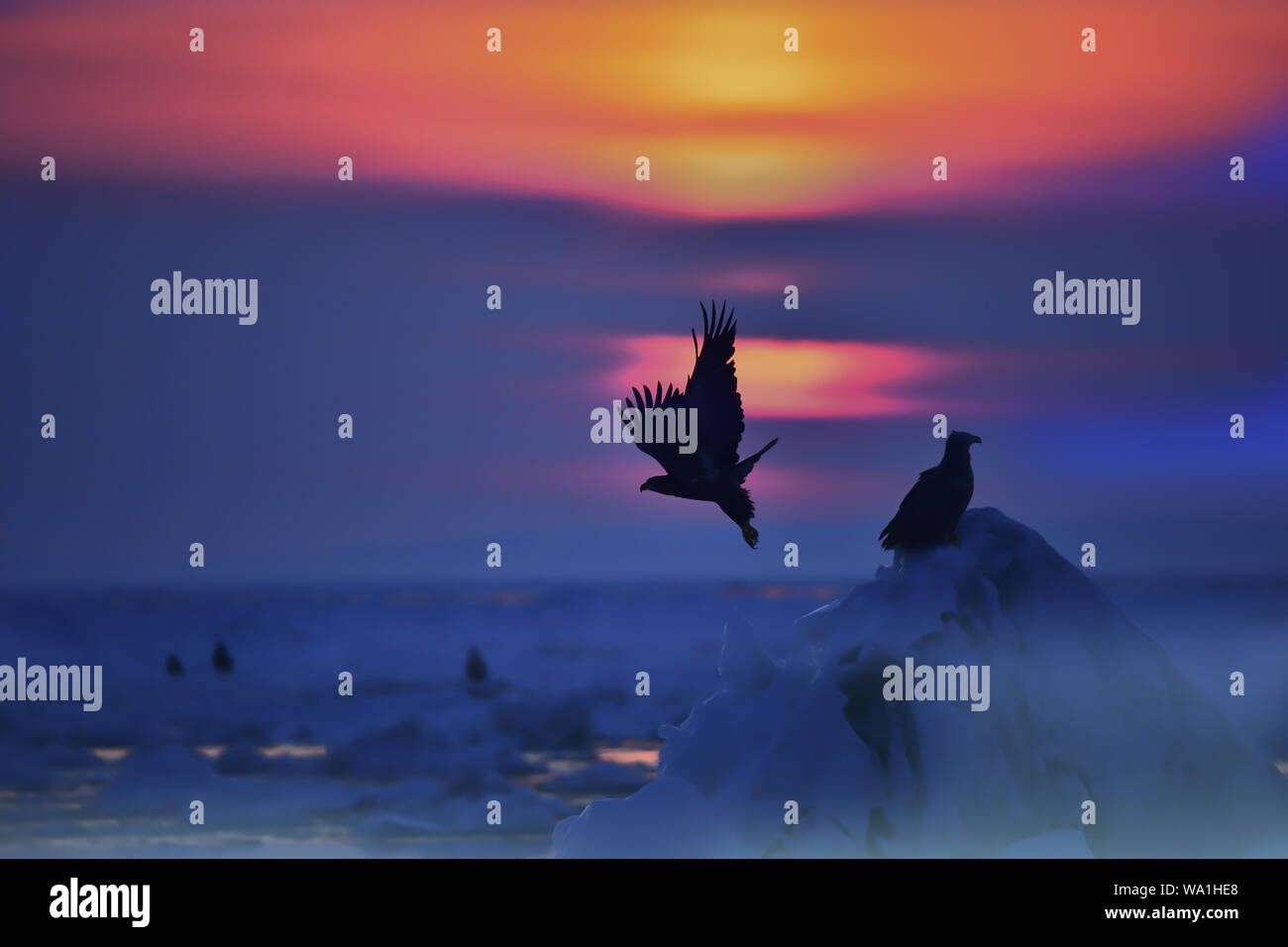 Hokkaido Landschaft Stockfoto