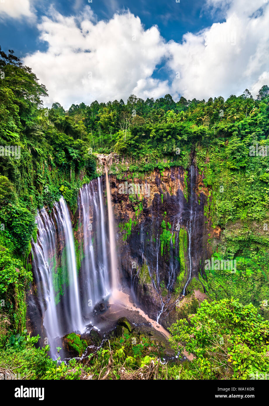 Tumpak Sewu Wasserfälle in Ostjava, Indonesien Stockfoto
