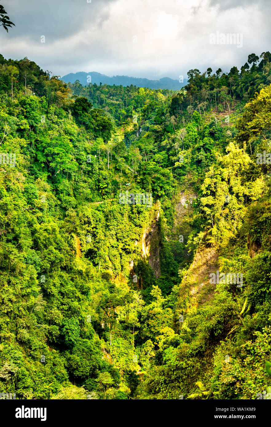 Landschaft bei sewu Wasserfälle in Ostjava, Indonesien Stockfoto