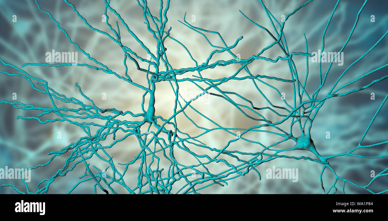 Pyramidenförmigen Neuronen. Abbildung: pyramidenförmige Nervenzellen in der Großhirnrinde des Gehirns. Pyramidenzellen sind so für ihre dreieckigen Zellkörper benannt. Jede Zelle des Körpers hat zahlreiche Prozesse (Dendriten), die Daten von anderen Nervenzellen und Sinneszellen übertragen. Jede Zelle des Körpers hat auch einem Axon aus, durch welche Sie Informationen an andere Zellen. Stockfoto