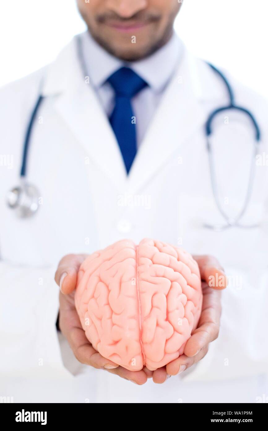 Neurologe holding Gehirn Modell, close-up. Stockfoto
