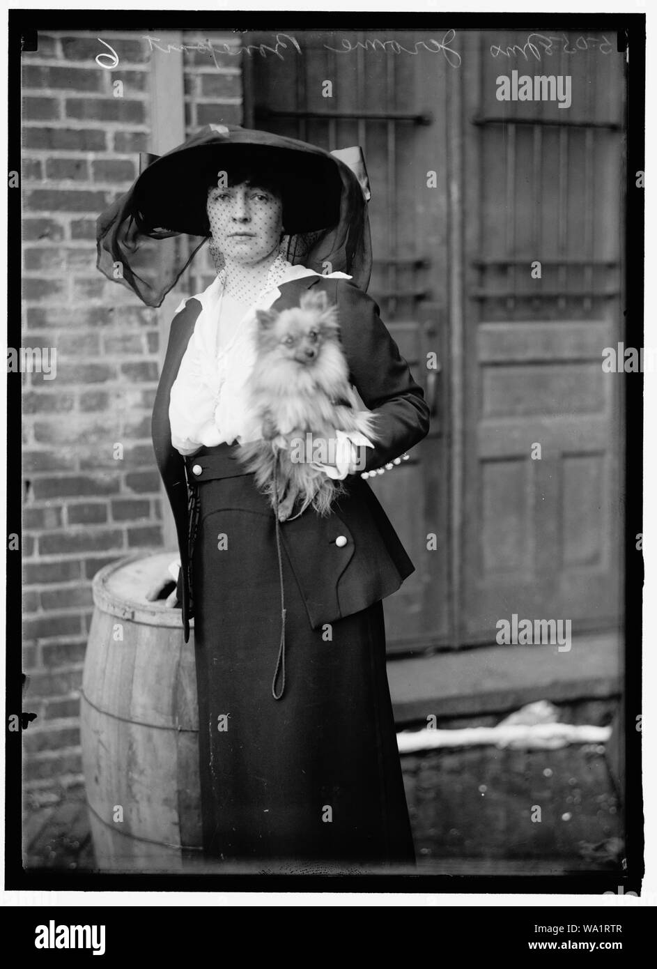 BONAPARTE, Frau. JEROME N. DOG SHOW Stockfoto