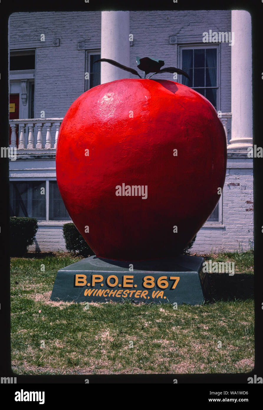 B.P.O.E. #867 Apple Zustand unterzeichnen, Route 11, Winchester, Virginia Stockfoto