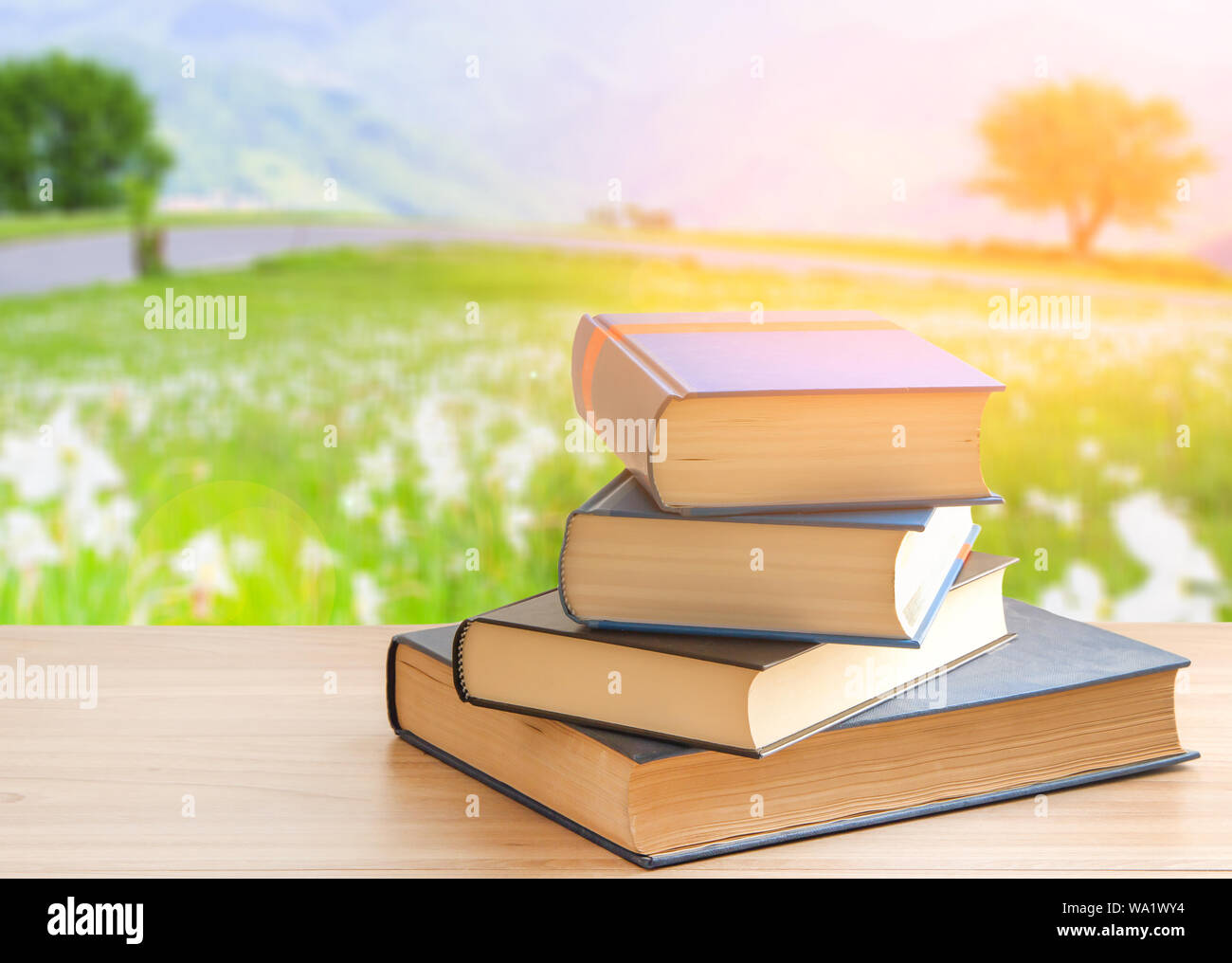 Buchen Sie Stapel oder Stoß von Buch auf hölzernen Tisch in Natur Hintergrund, zurück in die Schule. Stockfoto