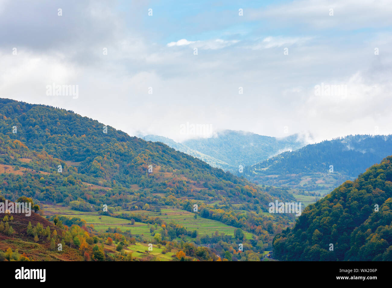 Wunderschöne Landschaft an einem regnerischen Tag in die Berge. die bewaldeten Hügel im Herbst Laub. bewölkten Himmel über dem Grat. Dunst und Nebel im Tal. ländlichen Ar Stockfoto