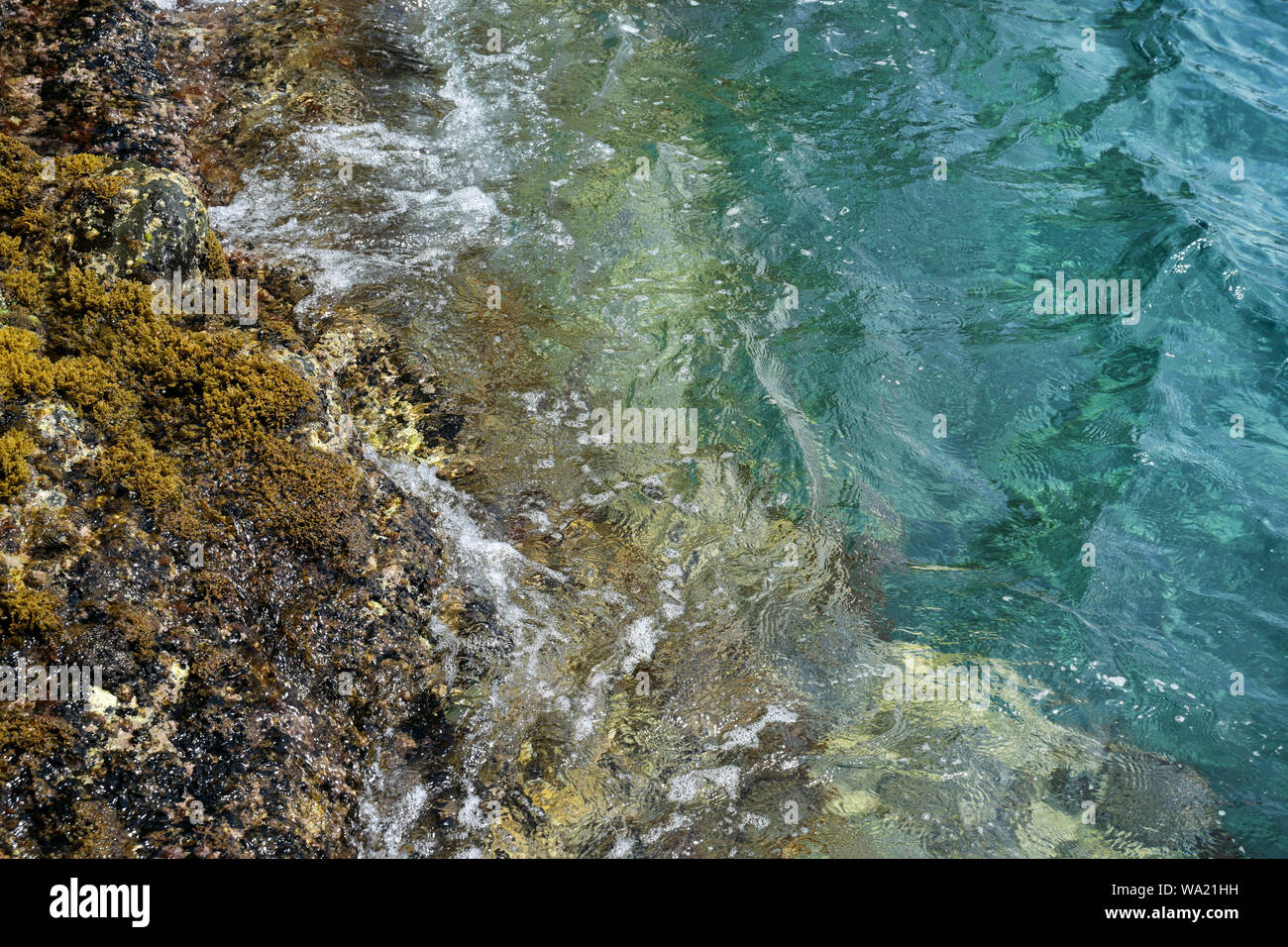Blick von den Klippen ins Mittelmeer, abstrakten Hintergrund mit türkisfarbenem Wasser, Steine und Algen, kopieren Raum Stockfoto