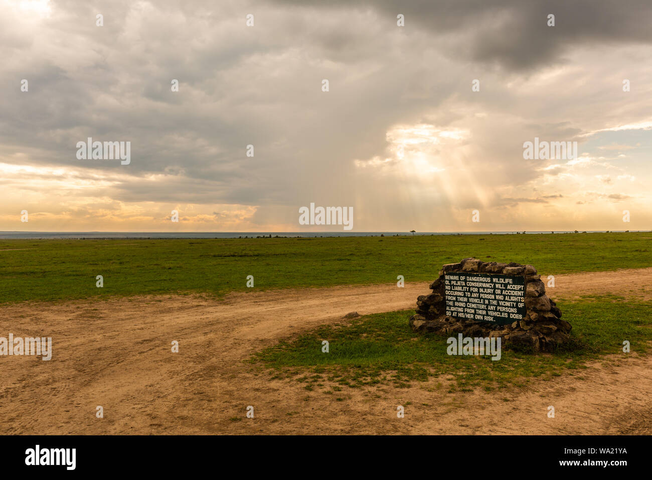 Ol Pejeta Conservancy, Laikipia County, Kenia - 12. Juni, 2019: Farbe Landschaft Foto von Ol Pejeta conservancy Grünland im Hintergrund mit. Stockfoto