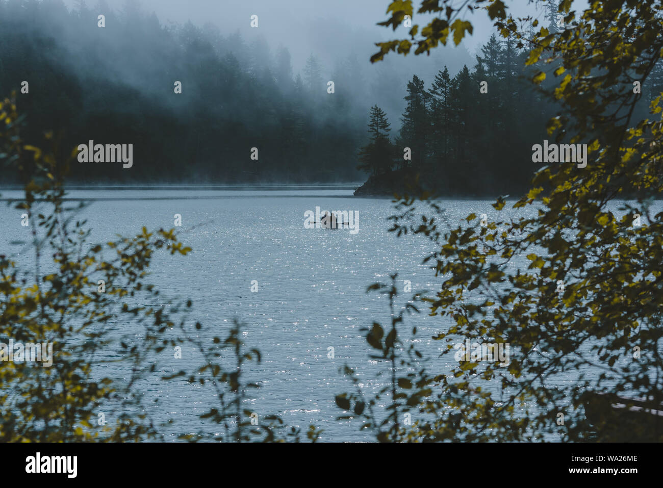 Am frühen Morgen rudern Sie mit dem Kanu auf den nebligen Waldseen von Orcas Island, Washington State, Pacific Northwest Stockfoto