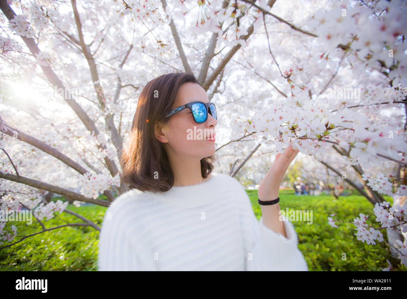 Mädchen von Kirschbäumen Stockfoto