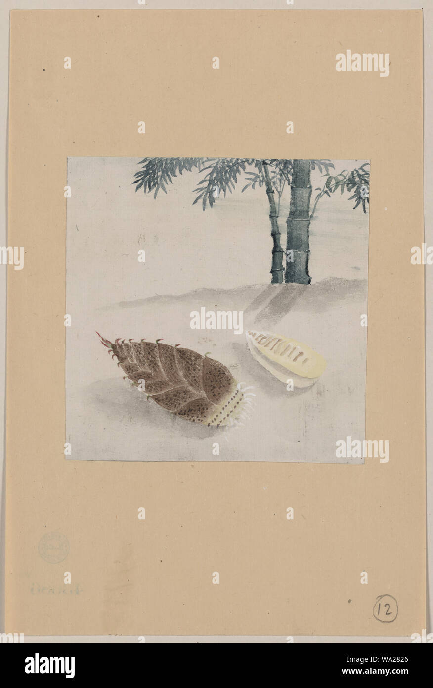 Bamboo Shoot mit Pflanzen im Hintergrund Stockfoto