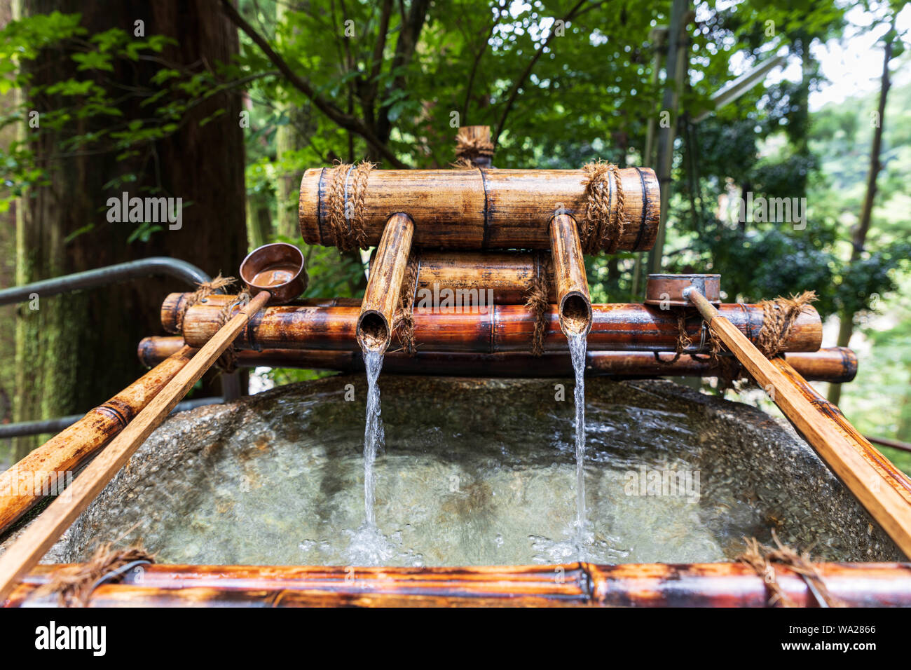 Das Wasser fliet durch Bambus in traditionelle Waschbecken an japanischen  Schrein im Wald Stockfotografie - Alamy