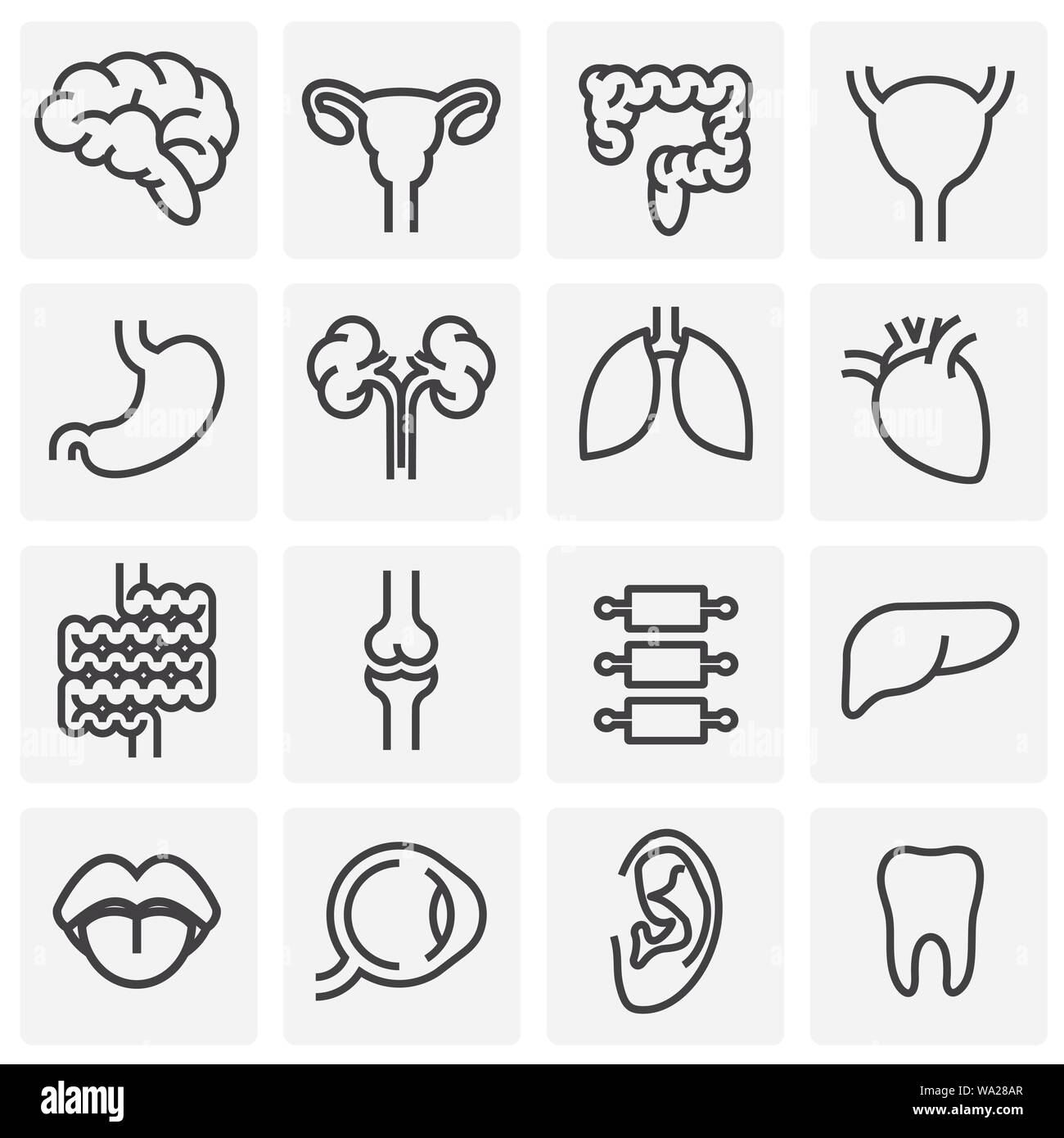 Menschliche Organe ähnliche Symbole auf dem Hintergrund für Grafik- und Webdesign. Einfache Abbildung. Internet Konzept Symbol für Website Taste oder mobile App Stock Vektor