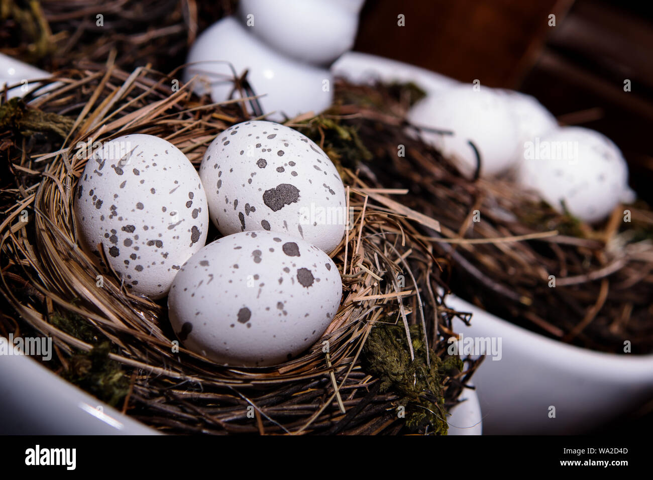 Eier in Birds Nest in dekorativer weißer Teller. Drei Wachteln Ostereier mit rustikalen Look. Stockfoto