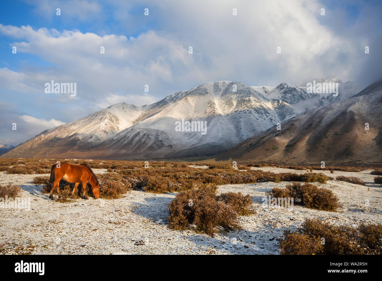 Xinjiang Schnee Bergwelt Stockfoto