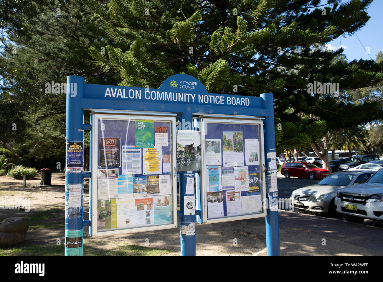 Community und öffentliche noticeboard with lokale Nachrichten und Events in Avalon Beach,Sydney,Australien Stockfoto