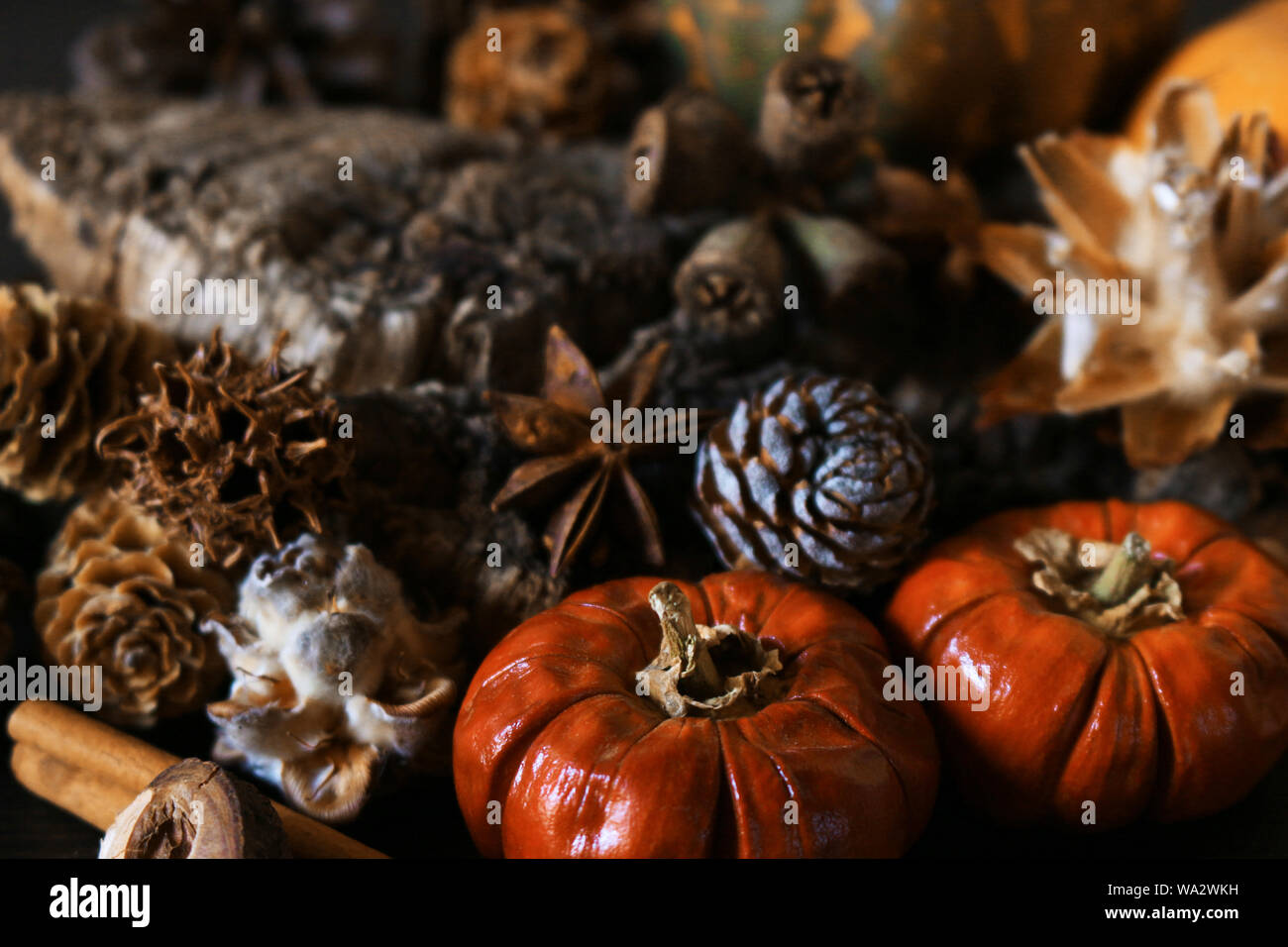 Kürbis Deko im Herbst Bauernherbst inspiriert Stockfoto