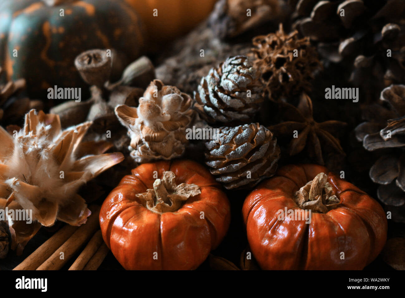 Kürbis Deko im Herbst Bauernherbst inspiriert Stockfoto