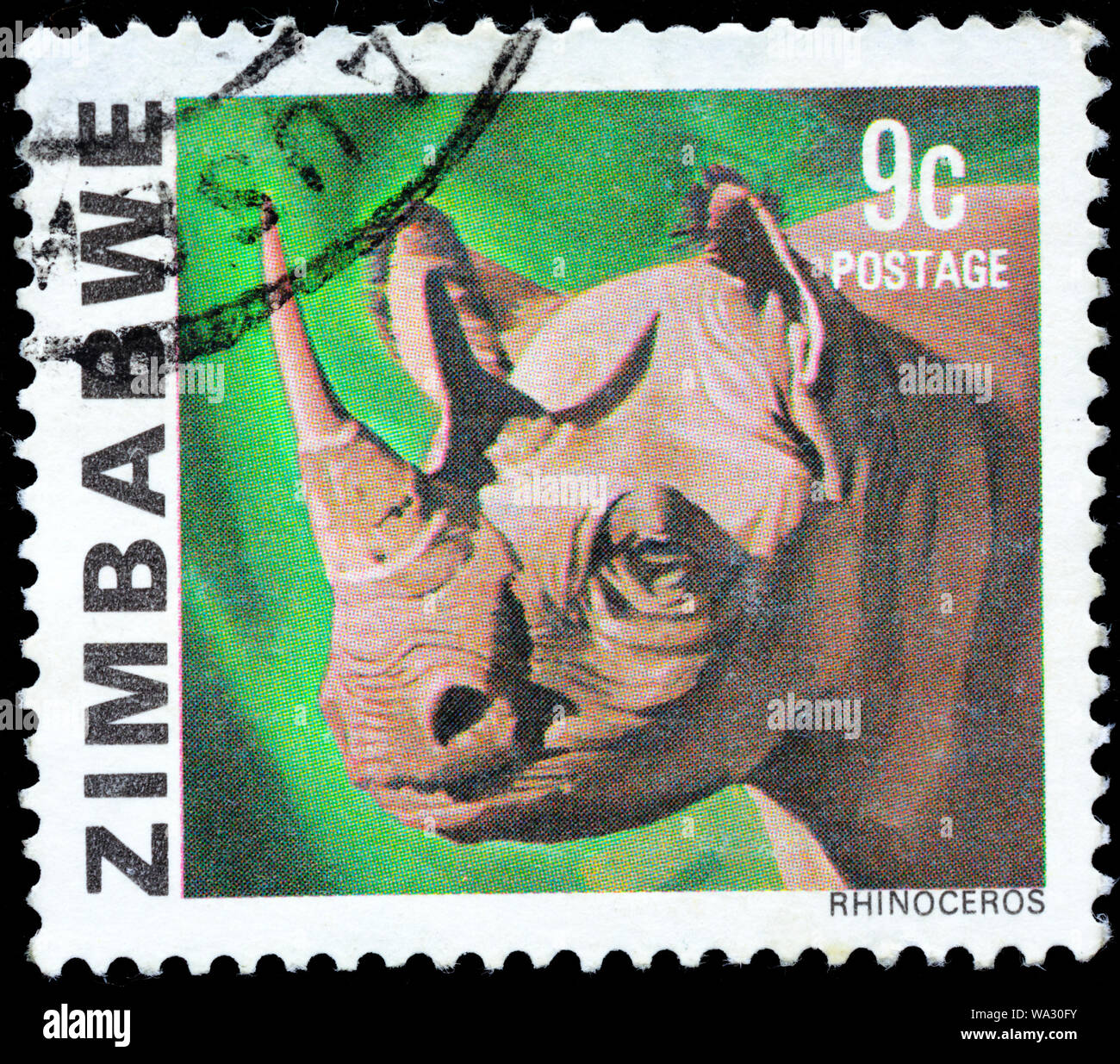 Rhinocerotidae), weiße Nashörner, Nashörner, Briefmarke, Simbabwe, 1980 Stockfoto