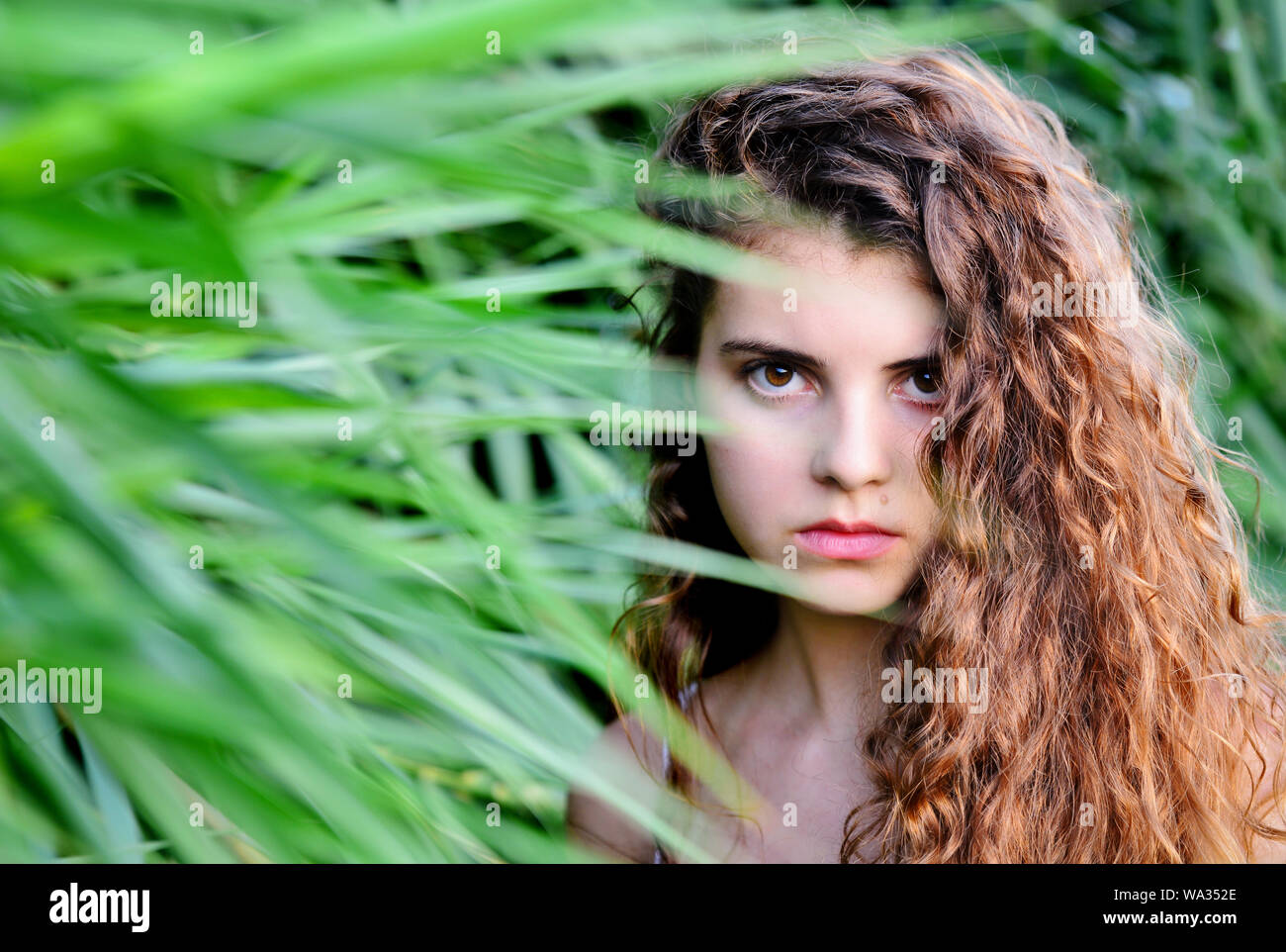 Schöne junge Frau Stockfoto