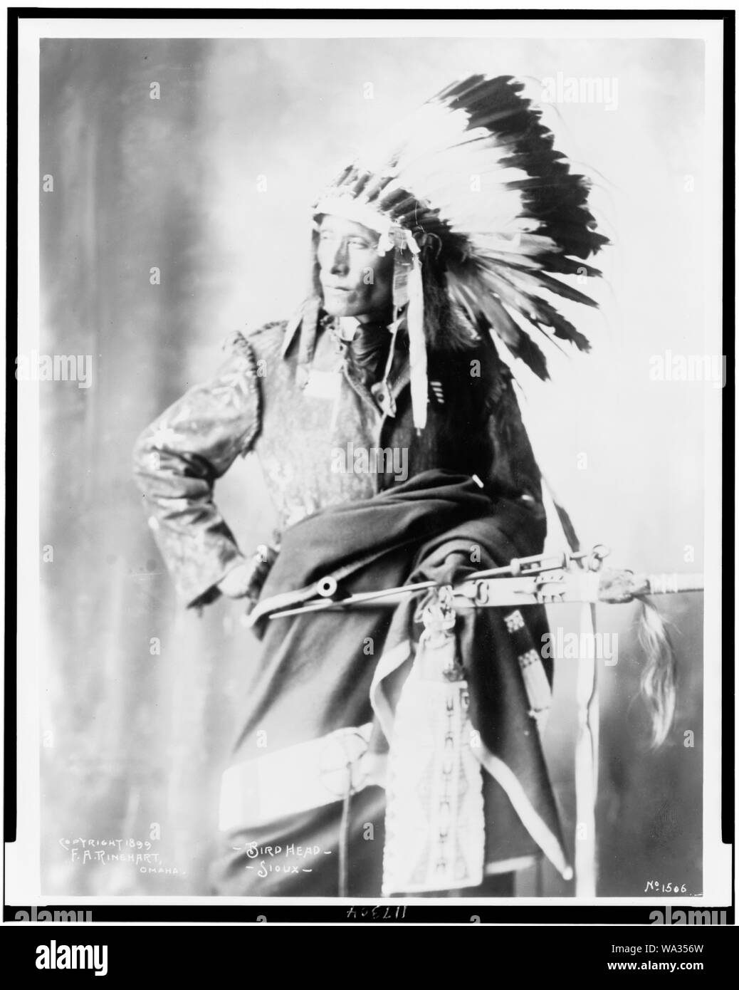 Vogelkopf, Sioux Stockfoto