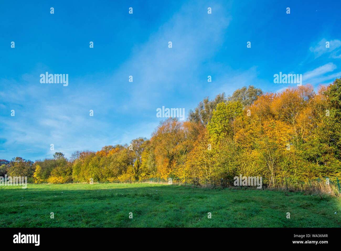 Brüssel Landschaft Stockfoto