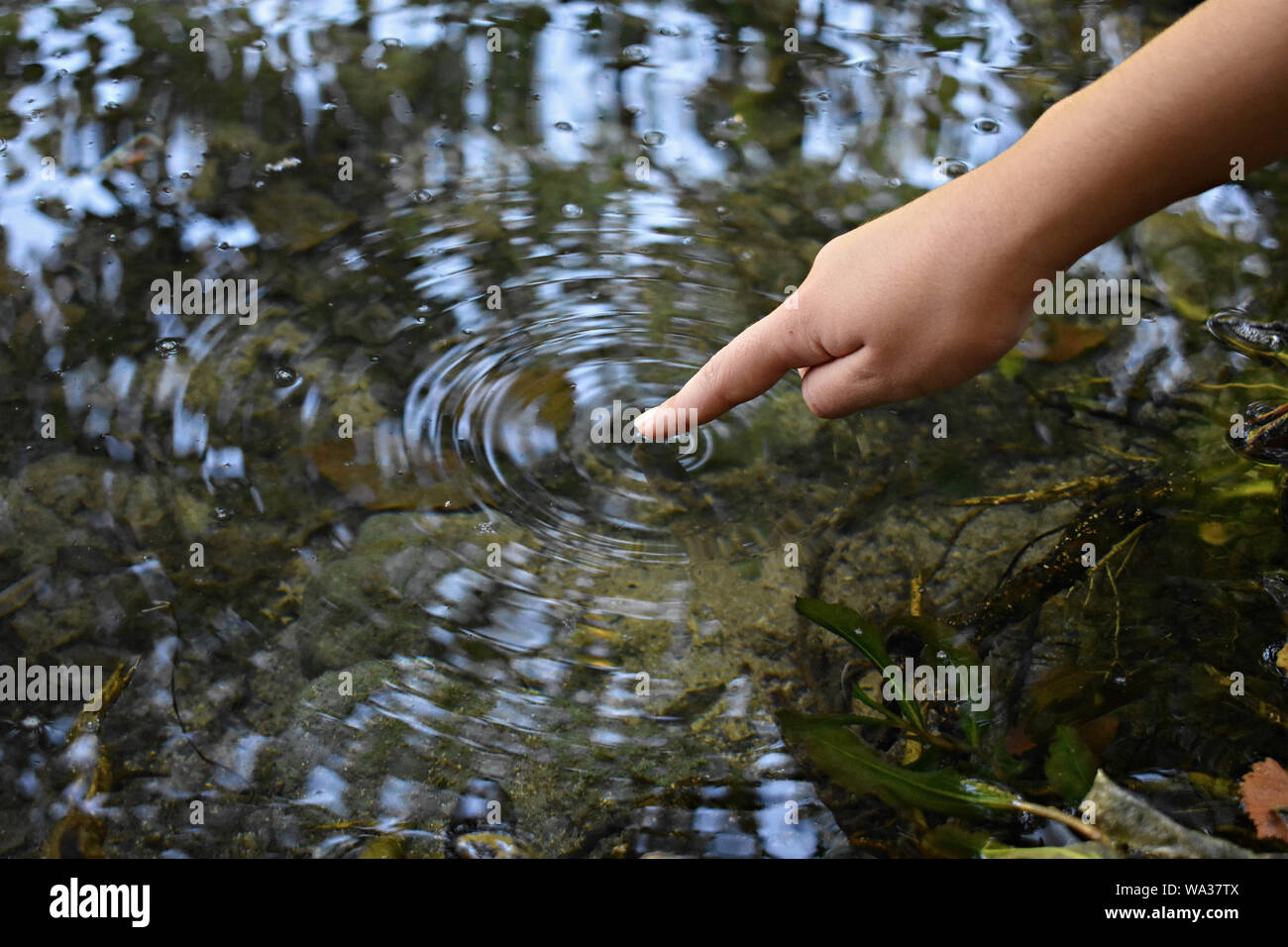 In der Nähe von Frau Hand zärtlich berühren, schaufelt das saubere, frische süsse Wasser/Tourismus, aktiven Lebensstil, Natur und Umweltverschmutzung Konzept. Stockfoto