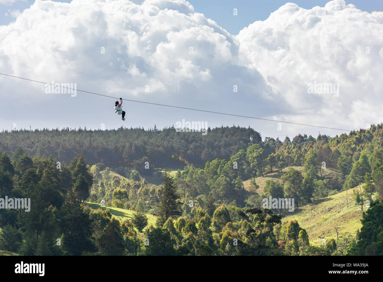 Eine Frau, die auf ein Zip Line im Forest Recreation Center, Kenia Stockfoto