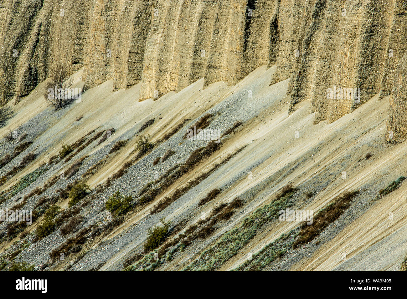 Die Landschaft in Xinjiang Stockfoto