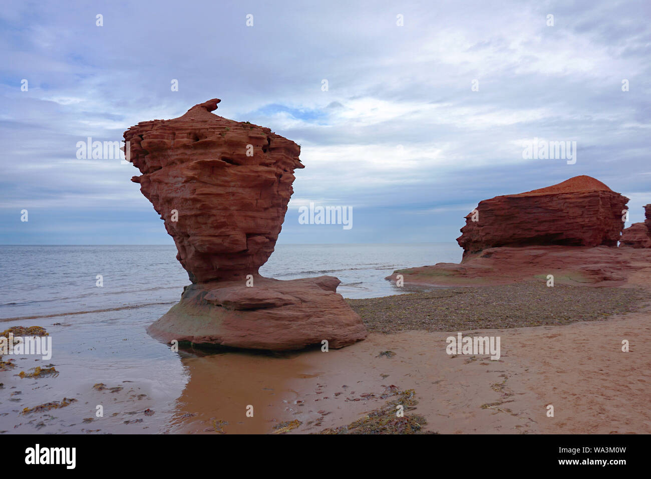 Blumentopf Rock Formation entlang der Küste von Prince Edward Island, Kanada Stockfoto