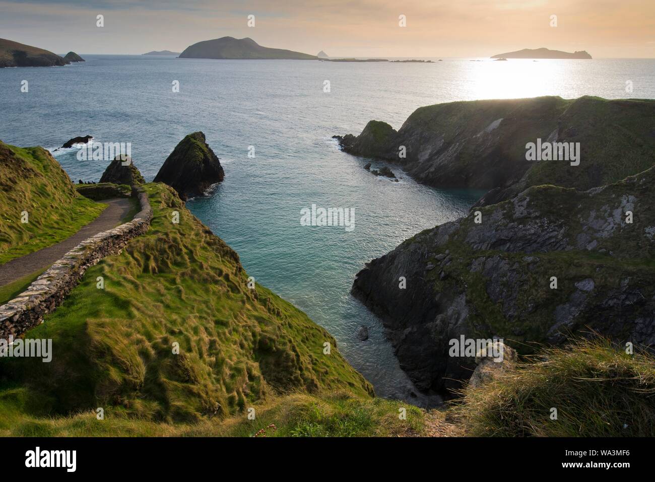 Küste und Klippen von Dunquin Hafen, Dun Chaoin, Halbinsel Dingle, Irland Stockfoto