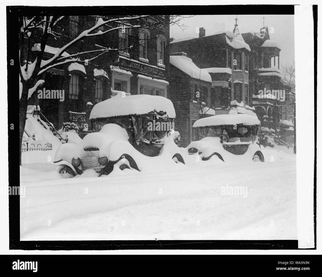 Blizzard, 1/28/22. Stockfoto