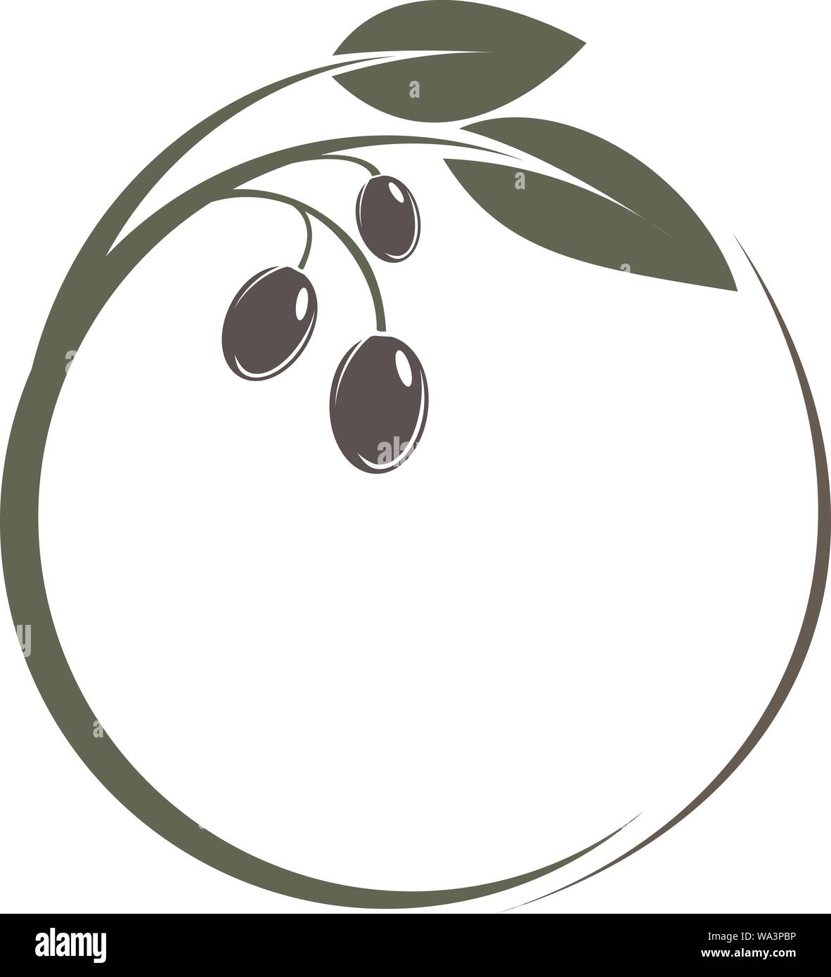 Runde grüne Olive Branch Logo oder Symbol Vektor illustration Stock Vektor