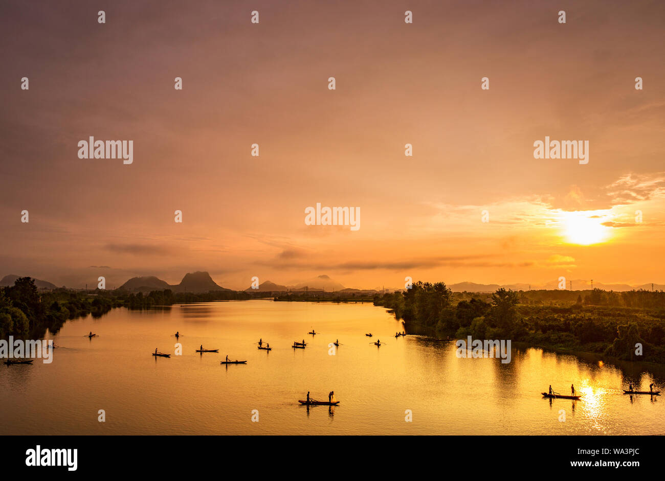 Angeln im Teich Stockfoto