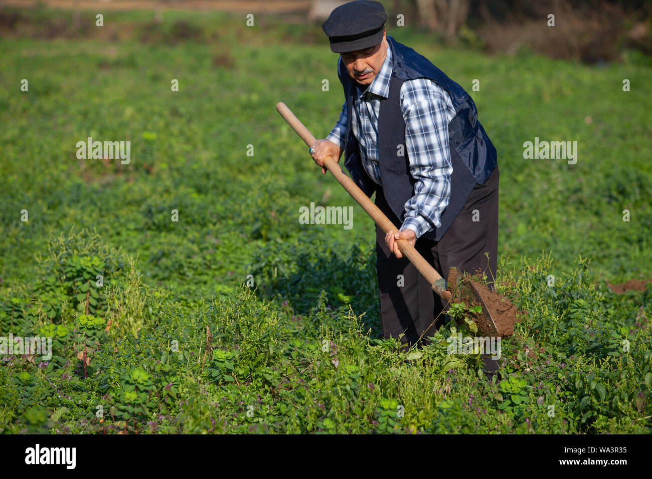 Alten Bauern, die in der Farm Stockfoto