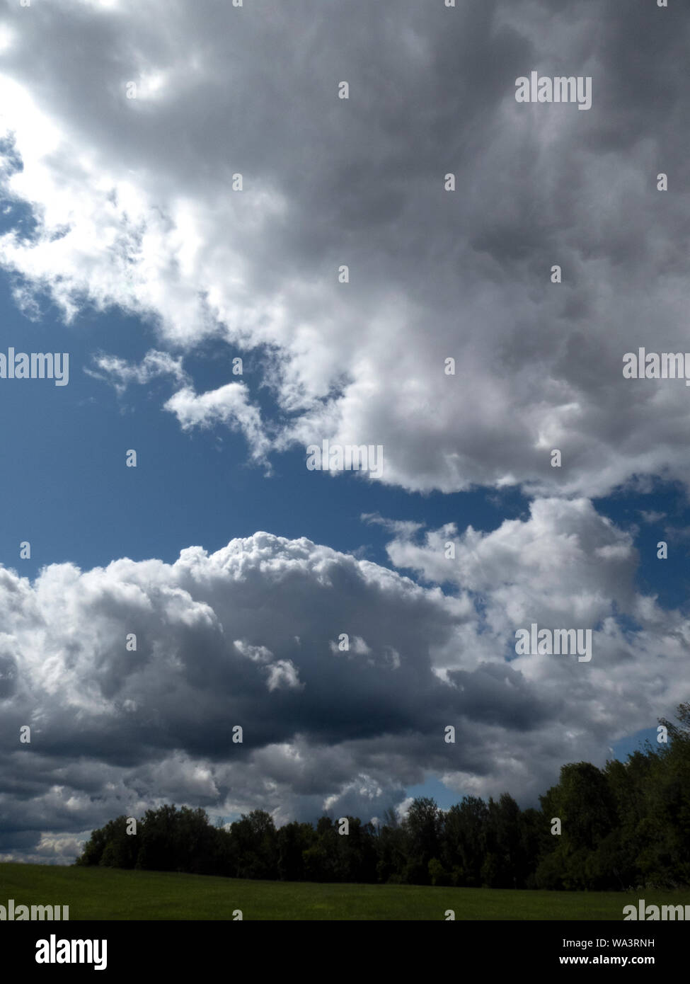 Cumulus-Wolken. Stockfoto