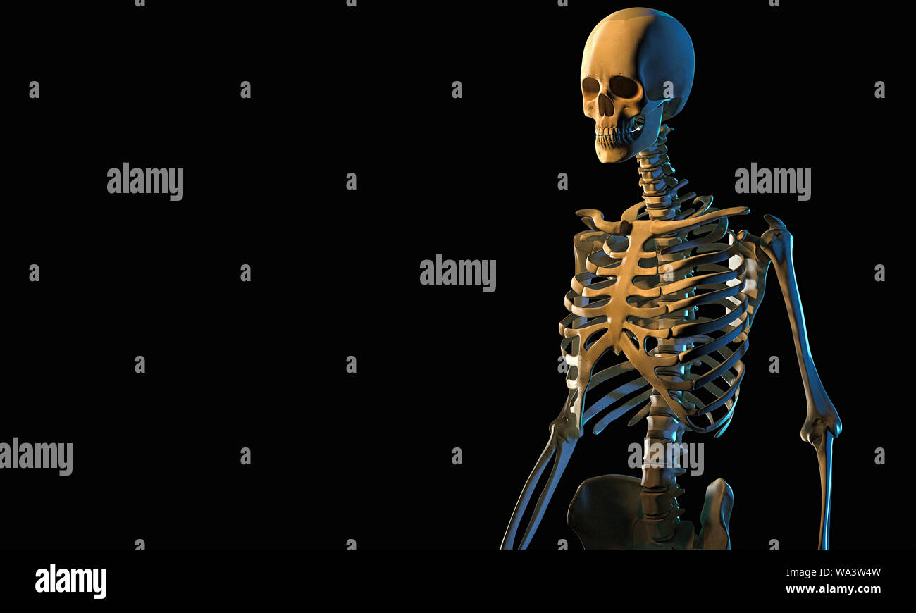 Skelett isoliert auf schwarz, 3D-Rendering Stockfoto