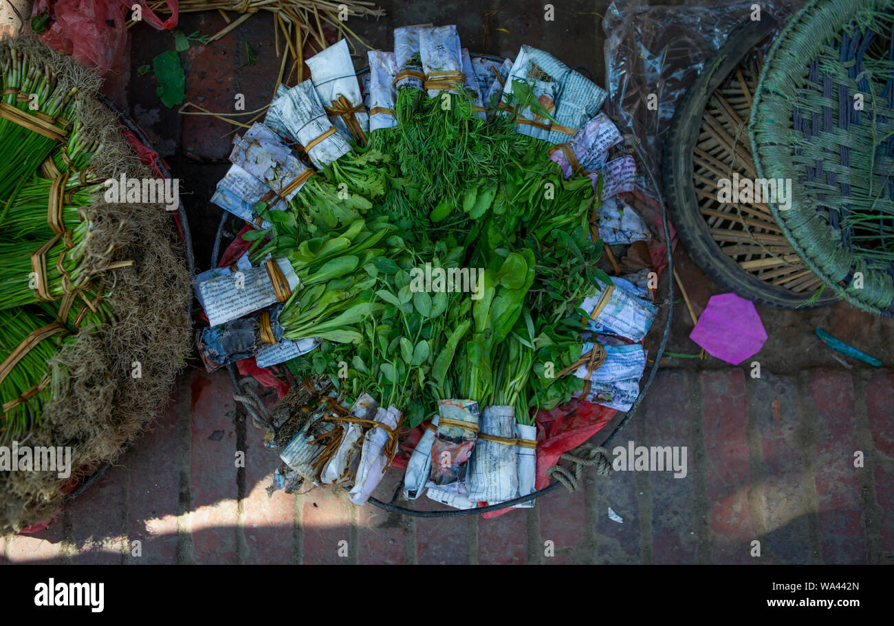 Bündel von asiatischen Kräutern auf einer runden Platte auf einem asiatischen Farmers Market Stockfoto